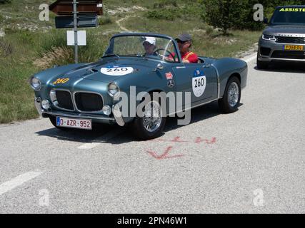 URBINO, ITALIEN - 16. JUNI 2022 : FIAT 1100 103 TV SPIDER 1955 auf einem alten Rennwagen in der Rallye Mille Miglia 2022, dem berühmten historischen rennen italiens Stockfoto