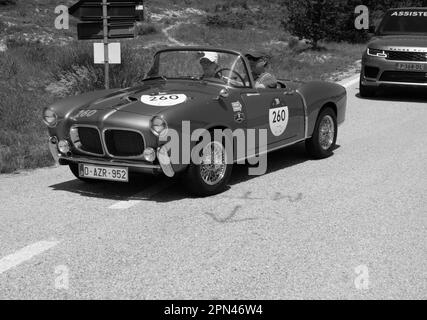 URBINO, ITALIEN - 16. JUNI 2022 : FIAT 1100 103 TV SPIDER 1955 auf einem alten Rennwagen in der Rallye Mille Miglia 2022, dem berühmten historischen rennen italiens Stockfoto