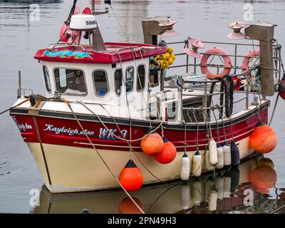 Kleines farbenfrohes Fischerboot im Hafen von Newhaven, Edinburgh, Schottland, Großbritannien Stockfoto