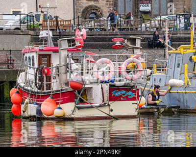 Kleine farbenfrohe Fischerboote, die im Hafen von Newhaven, Edinburgh, Schottland, Großbritannien, vor Anker liegen Stockfoto