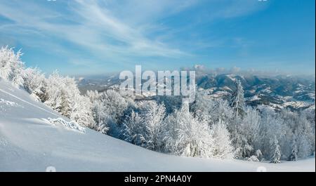 Morgen winter ruhig Bergpanorama Landschaft mit schönen Glasur Bäume und Fußweg durch Schneeverwehungen am Berghang (Carpathian Moun Stockfoto