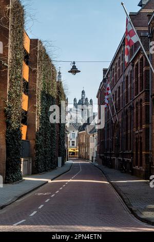 Wunderschöne Straße mit Blick auf die St. Jan's Kathedrale in der wunderschönen Stadt Hertogenbosch, einer Stadt in der Provinz Nord-Brabant, dem Netz Stockfoto