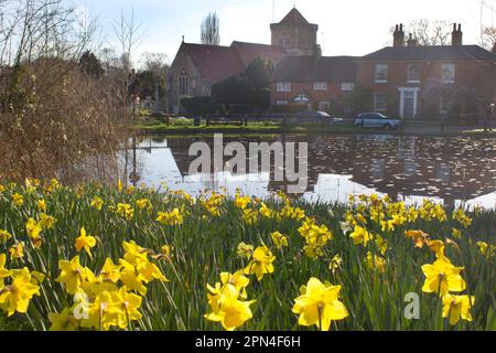 Winter in Chiddingfold Village & St Mary's Church über dem Teich, Surrey, England Stockfoto