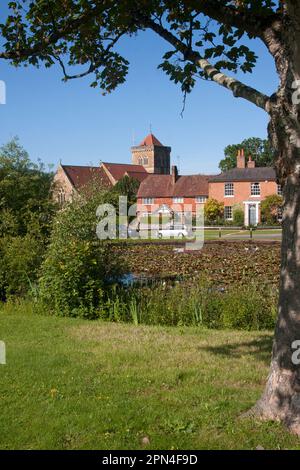 Chiddingfold & St Mary's Church, Surrey, England Stockfoto