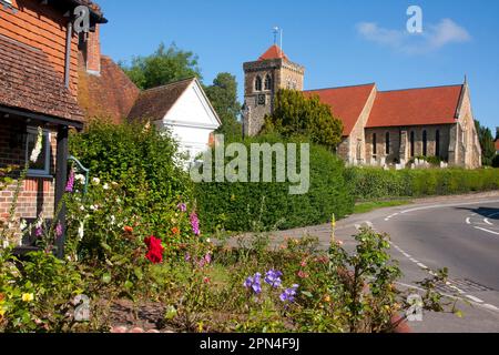 Chiddingfold & St Mary's Church, Surrey, England Stockfoto