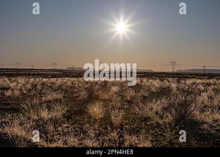 Karoo-Landschaft in Südafrika am Nachmittag mit der untergehenden Sonne am Himmel und Hochspannungsleitungen in der Ferne. Stockfoto