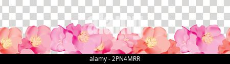 Banner mit Blumenmuster und wunderschönen bunten Blüten. Botanische Darstellung des Frühlings auf transparentem Hintergrund. Stock Vektor