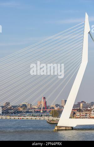 Erasmusbrug-Hängebrücke über den Nieuwe Mass River, Rotterdam, Provinz Südholland, Königreich der Niederlande Stockfoto