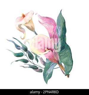 Strauß von Callas. Tropische Blumen und Blätter Aquarelle Gemälde. Botanische Illustration, isolierter weißer Hintergrund. Designelement für Sammelalben Stockfoto