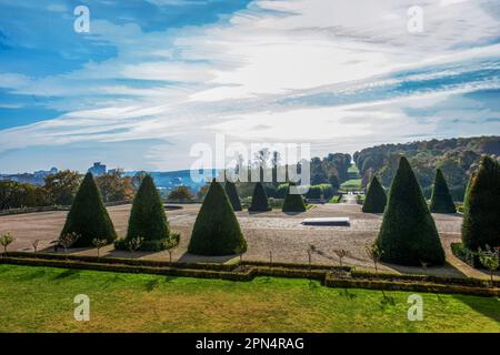 Atemberaubender Blick auf den Garten des Domaine National de Saint-Cloud mit Topiebäumen und in der Ferne „La seine Musicale“ auf der Insel seine. Bea Stockfoto