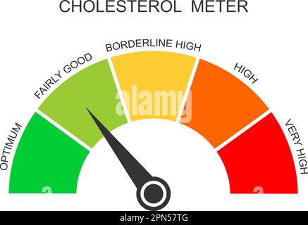 Armaturenbrett für Cholesterinmessgerät mit Pfeil. Atherosklerose, Hyperlipidämie, Hypercholesterinämie-Risikoskala. Lipoproteinspiegel von optimal bis sehr hoch. Flache Vektordarstellung Stock Vektor