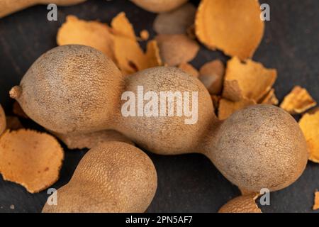 Geschlossene, lange reife Tamarindenschoten aus der Nähe, verzehrfertige ganze Tamarindenfrüchte liegen auf dem Tisch Stockfoto