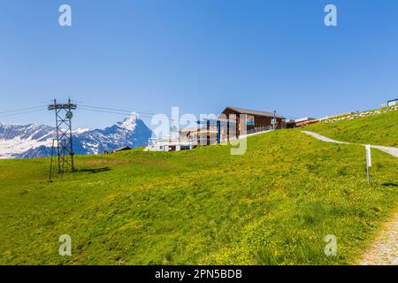 Blick auf die Seilbahnstation Grindelwald-First und die Region Eiger, Jungfrau in den Berner Oberlandalpen, Schweiz im Sommer Stockfoto