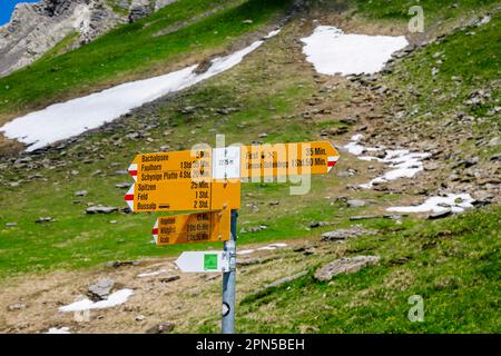 Wegweiser auf einem Wanderweg nahe Bachalpsee und Grindelwald-first in der Jungfrau-Region der Berner Oberlandalpen, Schweiz Stockfoto