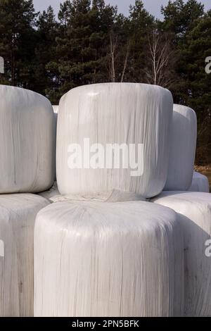 Weiße Kunststoffverpackung für Heu während der Lagerung im Winter, alte schmutzige Heuballen in Kunststoff für die Dauer der Lagerung von Tierfutter Stockfoto