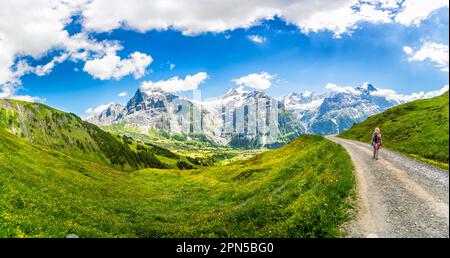 Panoramablick über Grindelwald, Richtung Wetterhorn, Schreckhorn und Eiger, Jungfrau-Region, Berner Oberlandalpen, Schweiz Stockfoto