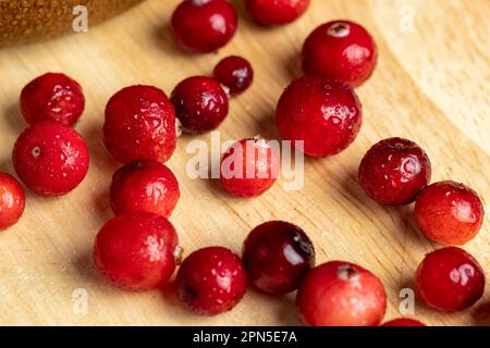 Rote wilde Cranberrys bedeckt mit Wassertropfen, frische reife Cranberrys mit Tropfen reinen Wassers Stockfoto