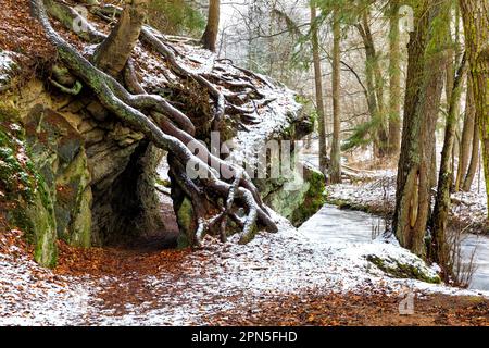 Bahnbrechender Langstreckenwanderweg Selketal-Stieg Harz Stockfoto