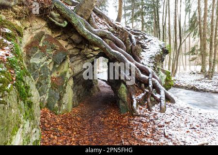 Bahnbrechender Langstreckenwanderweg Selketal-Stieg Harz Stockfoto