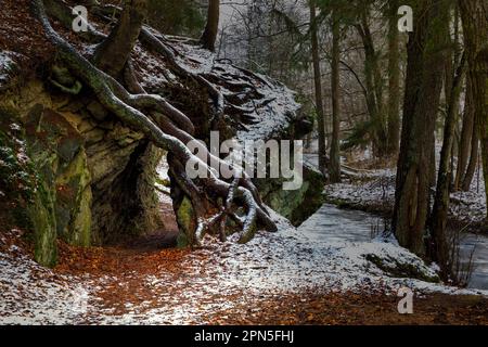 Bahnbrechender Langstreckenwanderweg Selketal-Stieg Harz Stockfoto