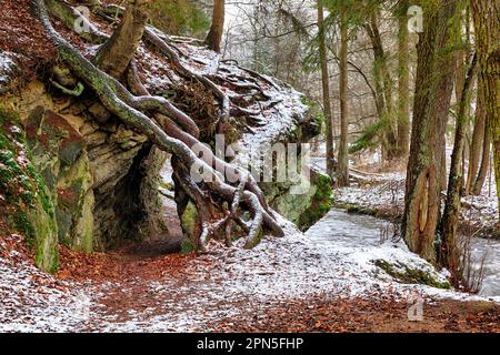 Bahnbrechender Langstreckenwanderweg Selketal-Stieg Harz Stockfoto