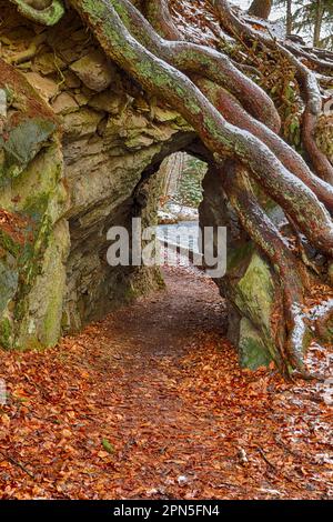 Bahnbrechender Langstreckenwanderweg Selketal-Stieg Harz Stockfoto