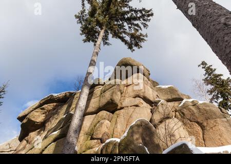 Hohnekamm-Harz-Nationalpark im Winter Stockfoto