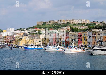 Porto di Marina Grande, Hafen, Bezirk Terra Murata, Insel Procida, Golf von Neapel, Kampanien, Süditalien, Italien Stockfoto