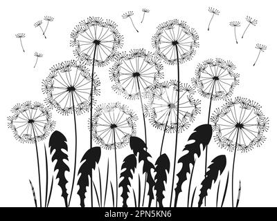 Löwenzahn mit Farbsilhouette für fliegende Samen. Abstrakte Blüten Löwenzahn, der schwarze Pflanzen graviert. Blumenmuster in Botanik für Postkarten, Poster oder Einladungen, Hochzeitskarten, Postereinband Stock Vektor