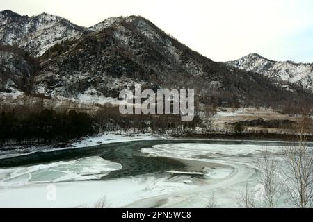 Das gewundene, aufgetaut Bett eines wunderschönen Bergflusses, der an einem sonnigen Winterabend durch ein Tal in den schneebedeckten Bergen fließt. Katun Fluss, Altai, Sib Stockfoto