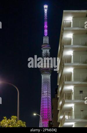 Stadtbild von Tokio mit nächtlicher Beleuchtung des skytree-Turms in Tokio, Japan Stockfoto