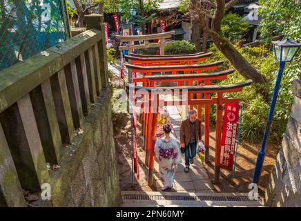 Tokio, Japan - 20. März 2023: Besucher genießen Kirschblüten (Sakura) im Ueno Park, Tokio, Japan Stockfoto