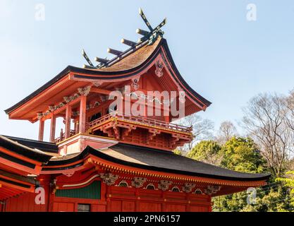 Fujinomiya-Stadt, Japan - 22. März 2023: Menschen, die die Sakura-Blüten im Fujisan Hongu Sengen Taisha-Schrein genießen. Stockfoto