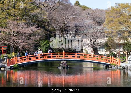 Fujinomiya-Stadt, Japan - 22. März 2023: Menschen, die die Sakura-Blüten im Fujisan Hongu Sengen Taisha-Schrein genießen. Stockfoto