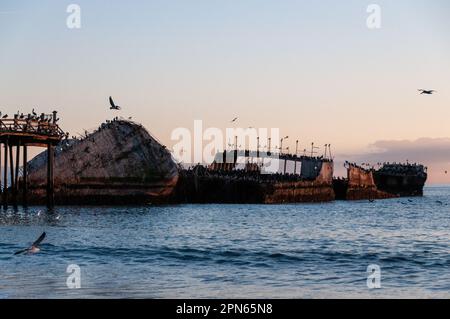 Nahaufnahme der SS Palo Alto, ein altes Schiffswrack aus dem Zweiten Weltkrieg bei Sonnenuntergang, vor der Küste von Aptos, in der Nähe von seacliff Beach, Californa Stockfoto