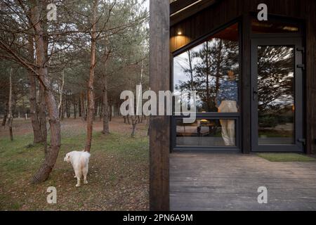 Eine Frau schaut aus dem Fenster auf ein Haus in der Natur Stockfoto