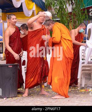 Ban Chang, Thailand - 16. April 2023: Mönche gießen Wasser mit Blütenblättern über einander, um Songkran, das buddhistische Neujahr, im Wat Chak Mak zu feiern Stockfoto