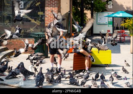 Unbekanntes junges Paar füttert Tauben im Congress Square Park, Maine Stockfoto