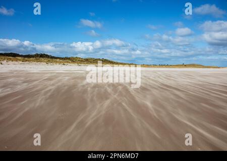 Starker Wind bläst Sand um den Strand Stockfoto