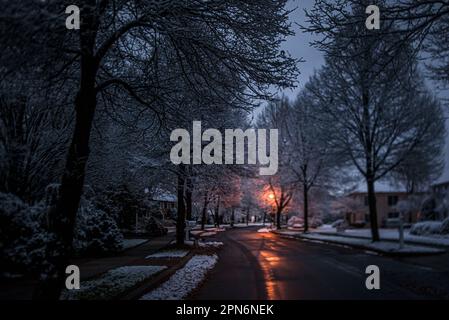 Schneebedeckte, von Bäumen gesäumte Straße in der Abenddämmerung mit Straßenbeleuchtung im Winter Stockfoto