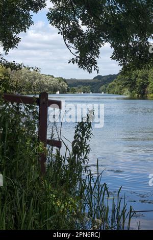 PANGBOURNE, BERKSHIRE, Großbritannien - 30. JUNI 2008: Blick auf die Themse Stockfoto