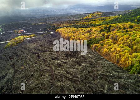 Luftaufnahme des Lavaflusses an den Hängen des Ätna Vulkans, Wälder aus Lärche, Buche und Kiefern färben die Landschaft. Ätna-Nationalpark, Sizilien, Stockfoto