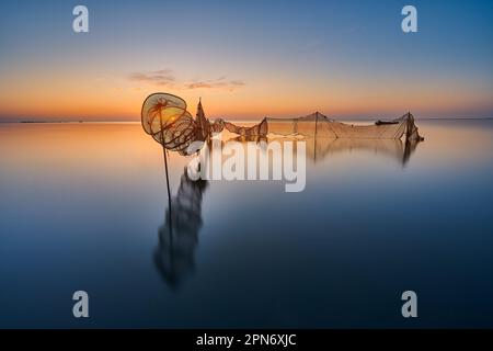Sonnenaufgang in der unglaublichen natürlichen Landschaft des Ebro Delta. Deltebre, Tarragona, Katalonien, Spanien Stockfoto
