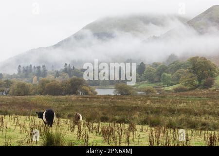 Loweswater am 20. Oktober 2022 in Cockermouth, Cumbria, England. Kredit: SMP News Stockfoto