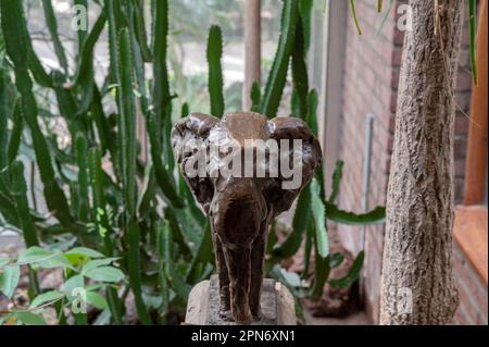 Statue Des Afrikanischen Elefanten Im Artis Zoo In Amsterdam, Niederlande 24-3-2023 Stockfoto