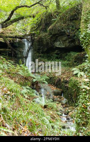 St Nectan’s Glen am 20. Oktober 2022 in Trethevy, Cornwall, England. Kredit: SMP News Stockfoto