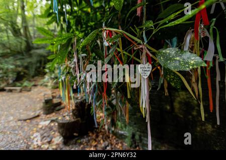 St Nectan’s Glen am 20. Oktober 2022 in Trethevy, Cornwall, England. Kredit: SMP News Stockfoto