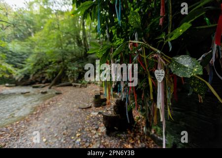 St Nectan’s Glen am 20. Oktober 2022 in Trethevy, Cornwall, England. Kredit: SMP News Stockfoto