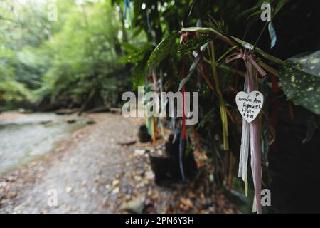 St Nectan’s Glen am 20. Oktober 2022 in Trethevy, Cornwall, England. Kredit: SMP News Stockfoto