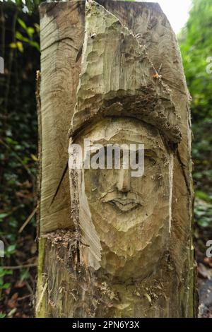 St Nectan’s Glen am 20. Oktober 2022 in Trethevy, Cornwall, England. Kredit: SMP News Stockfoto